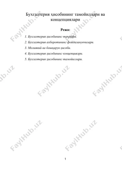 бухгалтерия ҳисобининг тамойиллари ва концепциялари — DOC