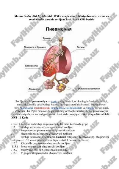 nafas olish kiyinlashishi.o‘tkir respirator infeksiya,bronxial astma va xomiladorlik davrida zotiljam.tashxislash.olib borish. — PDF