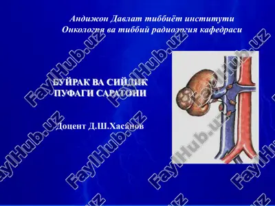 saratoni aniqlanish va qayta aniqlanish buyicha ma'lumot — PDF