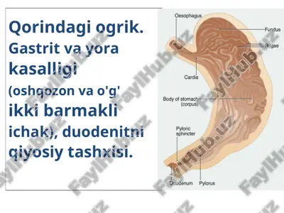 surunkali gastrit va o'q barmaqli ichak yara kasalligi — PDF