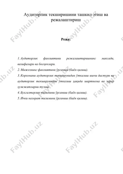 аудиторлик текширишини ташкил этиш ва режалаштириш — DOC