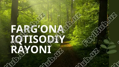 farg’ona iqtisodiy rayoni — PPTX