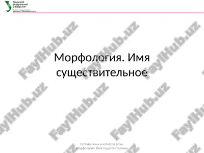 morfologiya. imya sushestvitelnoe — PPTX