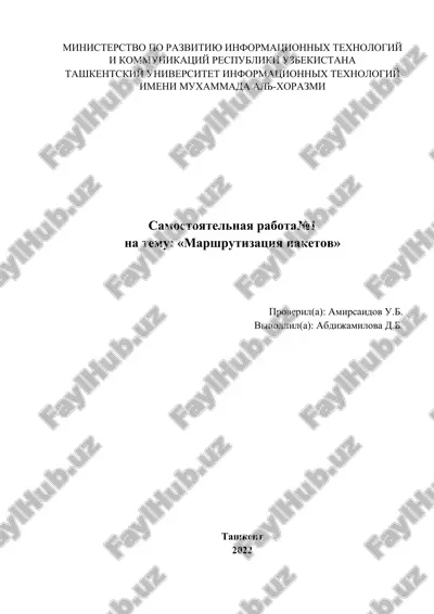 marshrutizatsiya paketov — DOCX