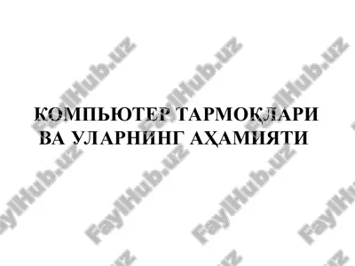 kompyuter tarmoqlari va ularning ahamiyati — PPT