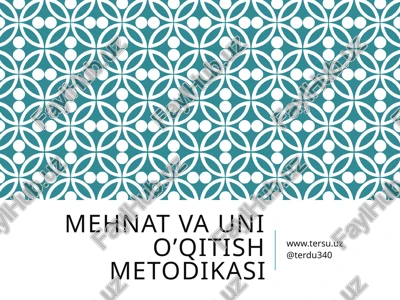 mehnat va uning o‘qitish metodikasi — PPTX