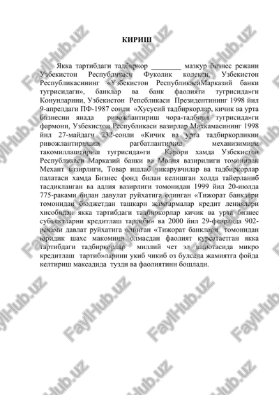 tadbirkorlik va biznes rejasi — DOC