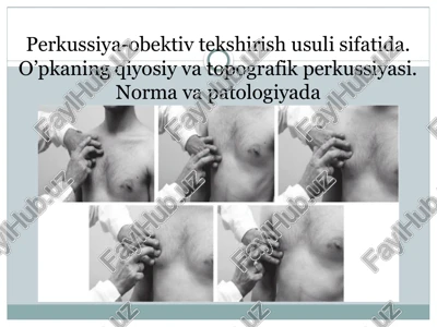 perkussiya obektiv tekshirish usuli sifati — PPTX
