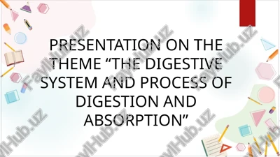 presentation on the theme “the digestive system and process of digestion and absorption” — PPTX