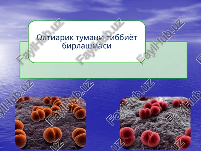 meningokokkinfektsiyasi — PPTX