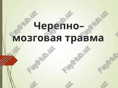 cherepno–mozgovaya travma — PPT