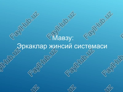 erkaklar jinsiy sistemasi — PPT