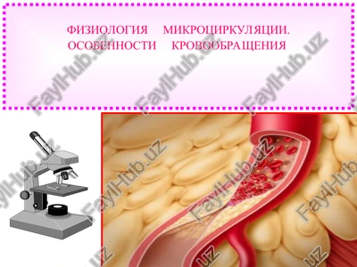 fiziologiya mikrotsirkulyatsii — PPT