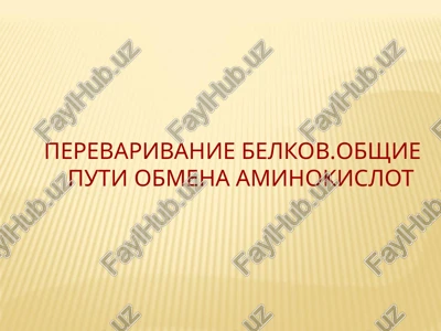 perevarivanie belkov.obshie puti obmena aminokislot — PPT