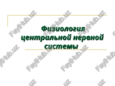 fiziologiya tsentralnoy nervnoy sistemi — PPT