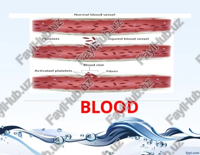 blood — PPTX