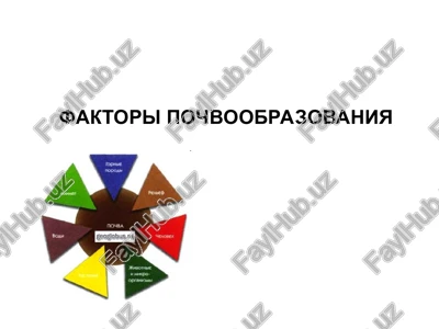 pochvoobrazovanie — PPT