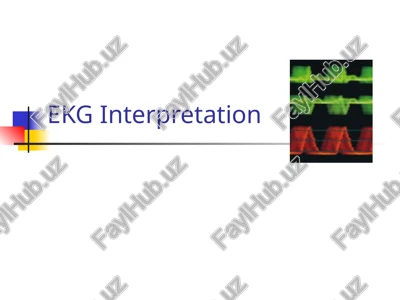 ekg interpretation — PPT