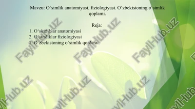 o‘simlik anatomiyasi, fiziologiyasi. o‘zbekistoning o‘simlik qoplami. — PPTX
