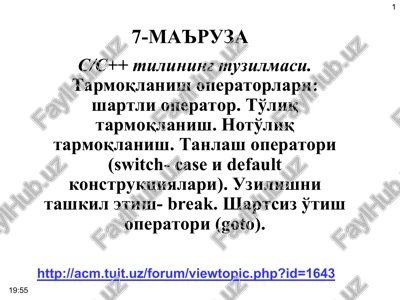 s/s++ tilining tuzilmasi — PPT