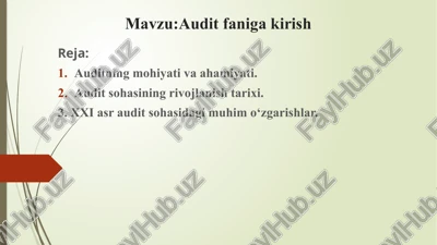 auditga kirish — PPTX