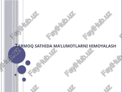tarmoq sathidagi ma'lumotlarni himoyalash — PPTX