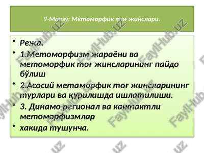 metamorfik to'g'lar — PPTX