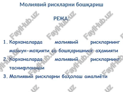 moliyaviy rikslarning boshqarish — PPTX
