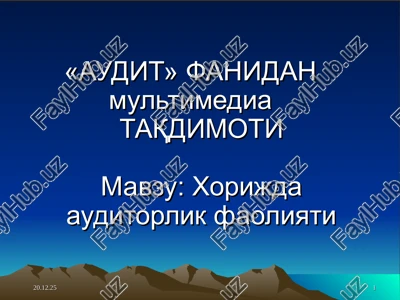 audit fanidan multimedia taqdimoti — PPT