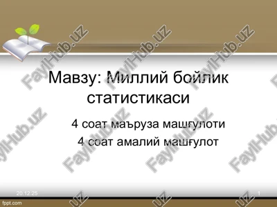 milliy boylik statistikasi — PPT