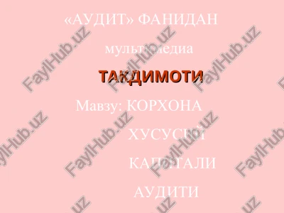 "audit" fanidan multimedia takdimoti — PPT