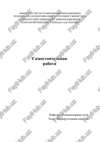 marshrutizatsiya paketov — DOCX