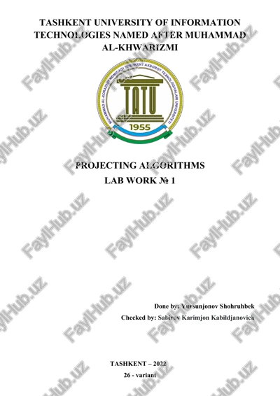 algorithms projecting lab work — DOCX