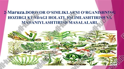 o‘zbekistondagi dorivoro‘simliklarni o‘rganish — PPTX