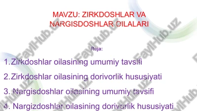 zirkdoshlar va nargisdoshlari oilalari — PPTX