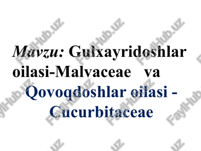 gulxayridoshlar oilasi-malvaceaeva — PPTX