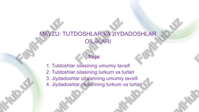 tutdoshlar va jiydadoshlar oilalari — PPTX