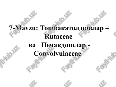 toshbakatoldoshlar–rutaceae vapechakdoshlar-convolvulaceae — PPTX