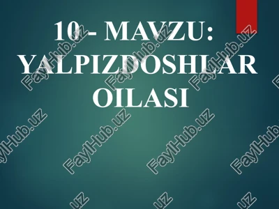 yalpizdoshlar oilasi — PPTX