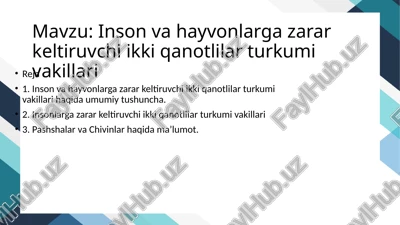 inson va hayvonlarga zarar keltiruvchi ikki qanotlilar turkumi vakillari — PPTX