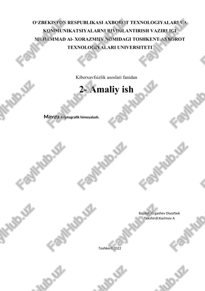 kriptografik himoyalash — DOCX