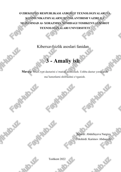 truecrypt dasturi — DOCX