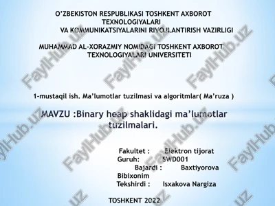 ma’lumotlar tuzilmasi va algoritmlar — PPTX