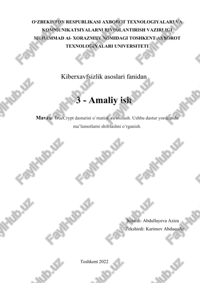 truecrypt dasturi — DOCX