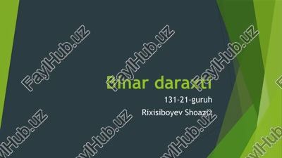binardaraxti — PPTX