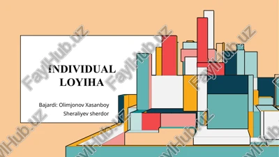 individual loyiha — PPTX