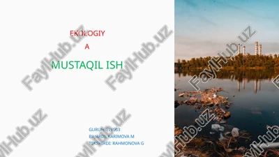 daryo suvlarining transchegaraviy ifloslanishi muammolari — PPTX