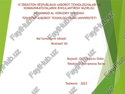 nosozsaqlashtizimlaridagima'lumotlarniqaytatiklash — PPTX