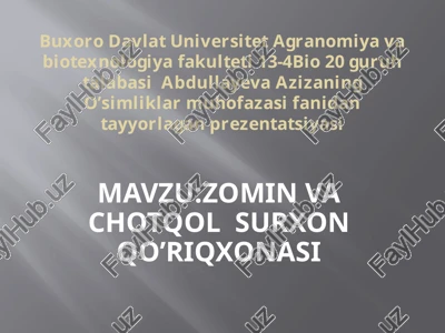 zominvachotqolsurxonqo’riqxonasi — PPTX