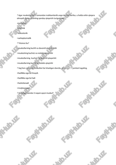 skelet muskul — DOCX